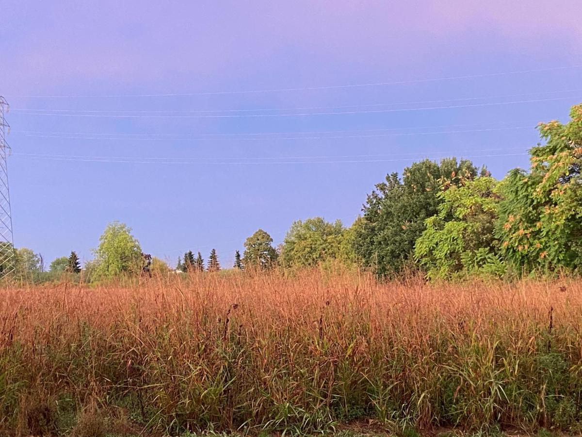 Acero Giallo Parma Dış mekan fotoğraf