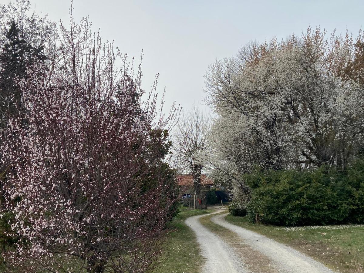 Acero Giallo Parma Dış mekan fotoğraf