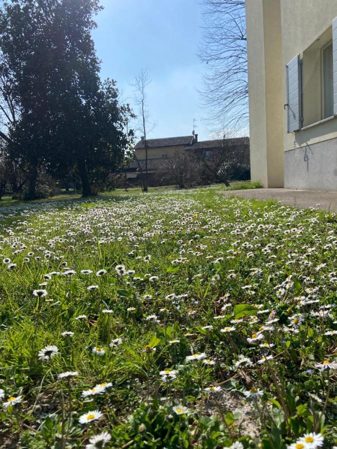 Acero Giallo Parma Dış mekan fotoğraf