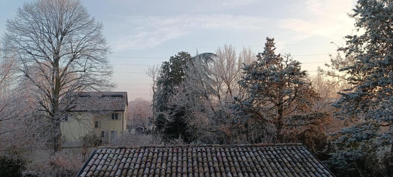 Acero Giallo Parma Dış mekan fotoğraf