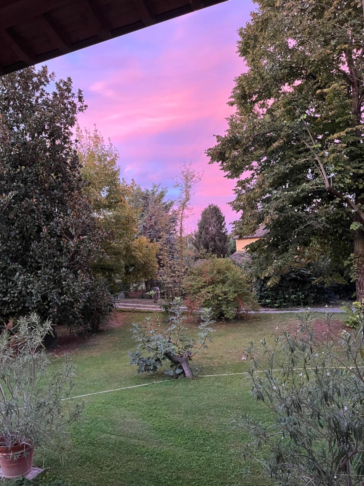 Acero Giallo Parma Dış mekan fotoğraf