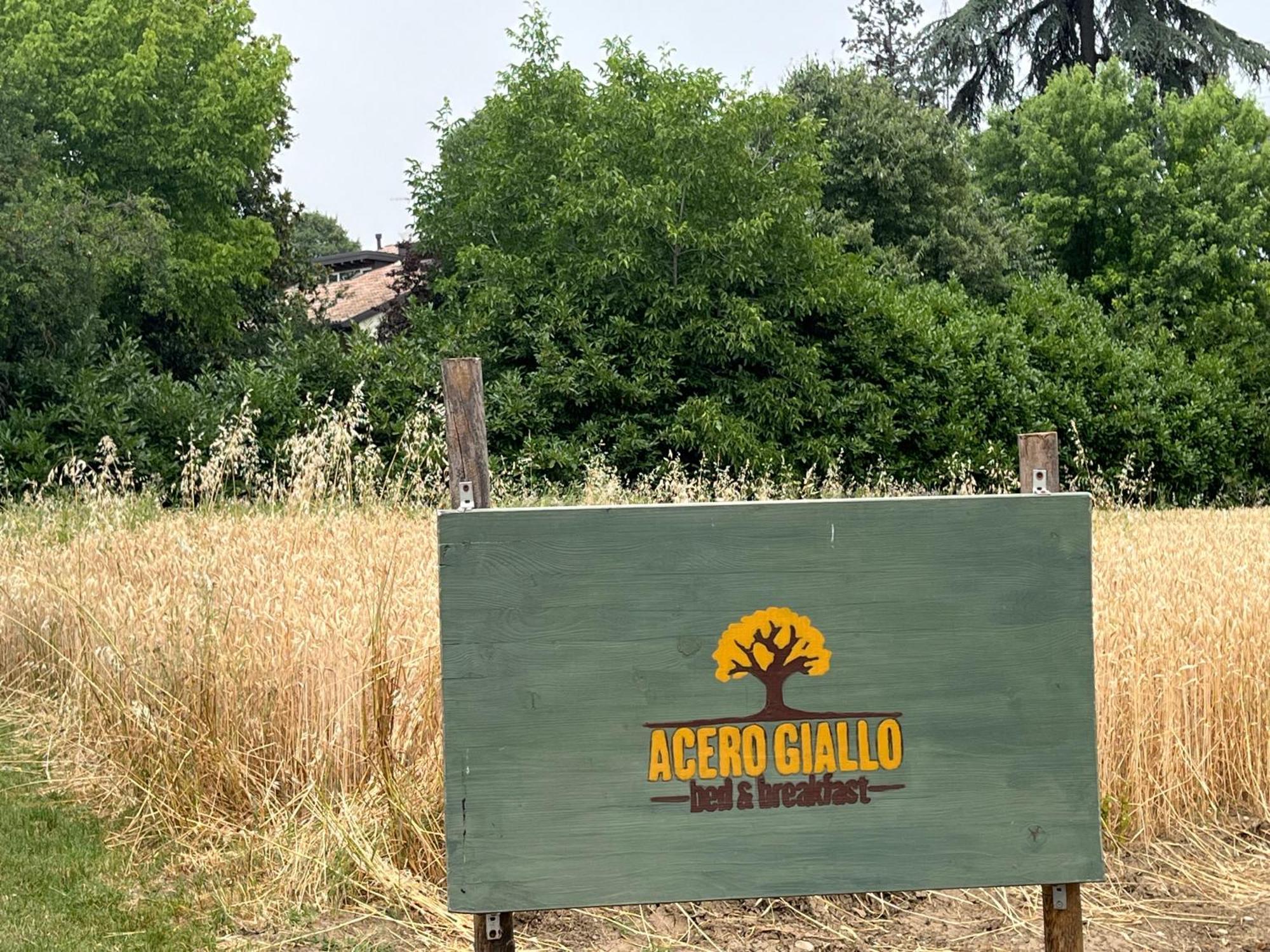 Acero Giallo Parma Dış mekan fotoğraf